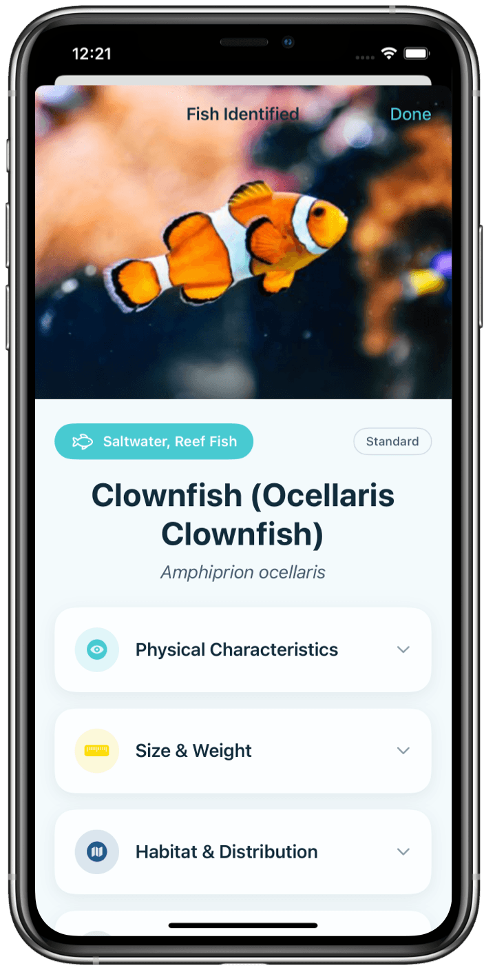 Fish Identifier App Interface